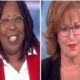 Renew Whoopi And Joy’s Contracts